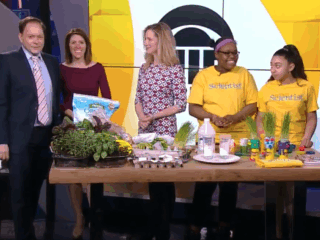 {{brizy_dc_image_alt entityId=